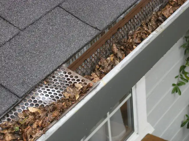 gutter cleaning and maintenance